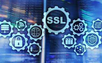¿Cuál es la diferencia entre un certificado SSL y un servidor seguro?